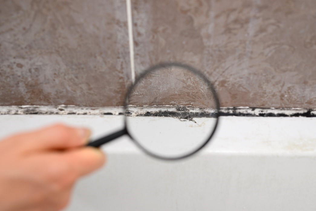 Magnifying glass inspecting moldy bathroom grout.