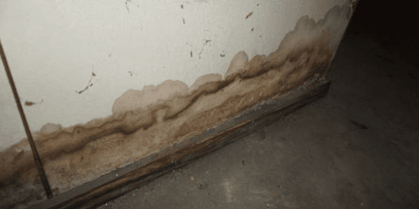 Water damage on wall with mold stains near floor, indicating moisture issues and potential need for repair.
