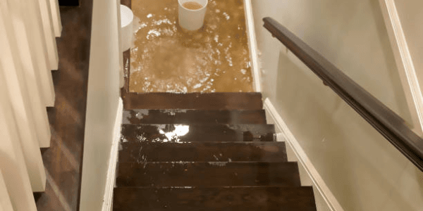 Flooded basement stairs with water rising, bucket placed at the bottom to manage overflow.
