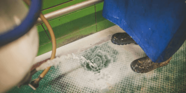 Cleaning floor with hose water near a person's feet wearing blue apron and black boots.