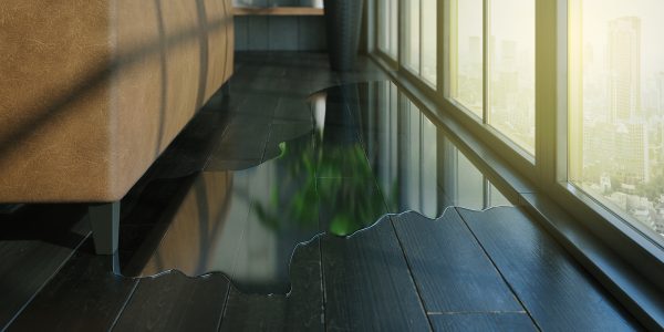 Water leaking and flooding on a wood floor.
